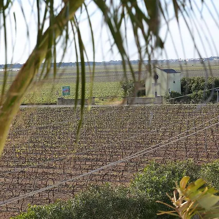 Eco La Vigna 4*