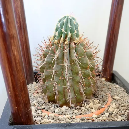 Eco La Vigna Leverano